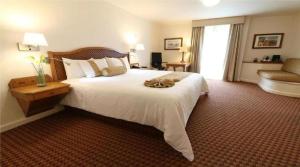 Hotel Provincia Juriquilla