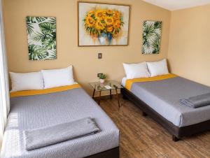 Loft familiar, Paseo Durango