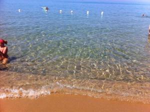 Sweetsea