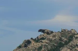 Maisonette Asfodelo - Palau