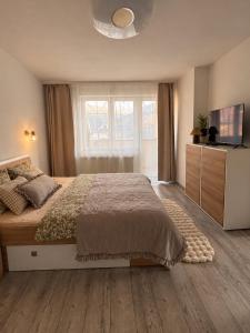 Apartmán Olive