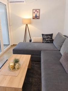 Apartman Djina - Banja Koviljaca