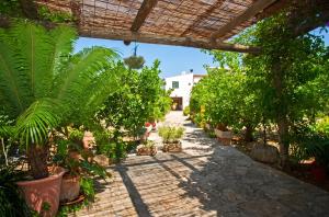 Modern Villa with Private Pool in Muro 300 m²