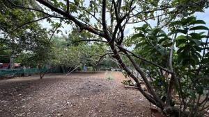 Phurbas Homestay