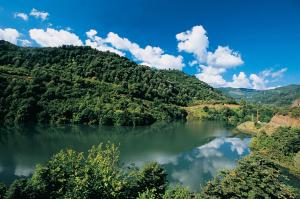 Aytepe Park
