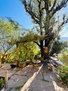 THE SHANDILYA Himalayan Reatret