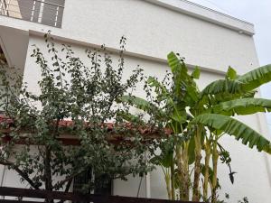 Hotel Venix