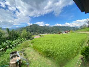 pedo Homestay2