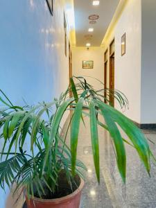 Ananta Residency