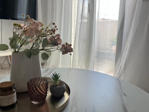 Apartment with roof garden