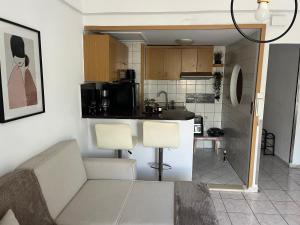 Apartment with roof garden