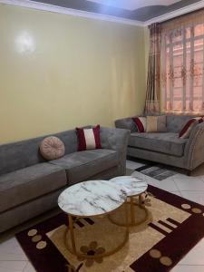 Alim Nest
