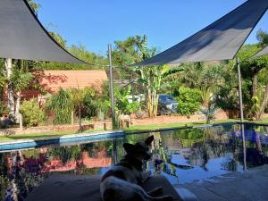 La Vida Loca Glamping