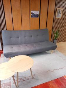 suvi centar