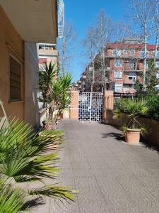The citrus courtyard
