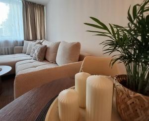 Apartament Komfort