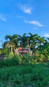 Greenline Sanctuary Hoi An
