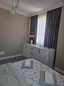 Solaria Apartment - Radauti
