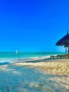 Mambo Ocean Resort