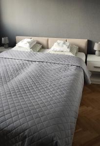 Ochota Central Stay