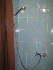 Studio Apartment room in Apartments on Panteleimonovskaya