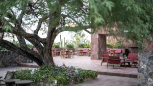 Albor San Miguel de Allende, Tapestry Collection by Hilton