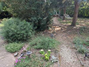 Studio near Beach in Zamardi-Balaton 58090