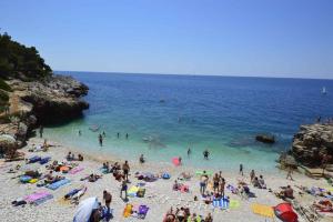 Apartments in Pula - Istrien 11306