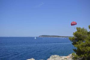 Apartments in Pula - Istrien 11306