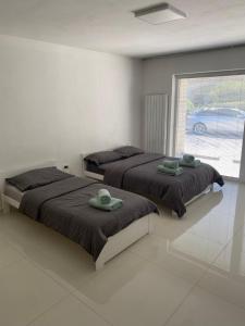 Oferta noclegów 17462524