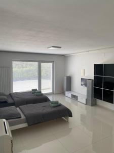 Oferta noclegów 17462524