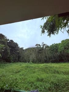 Green Nest Villa by BOB Hotels