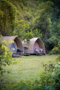 YesHue Eco Waterfall Glamping