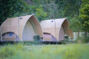 YesHue Eco Waterfall Glamping
