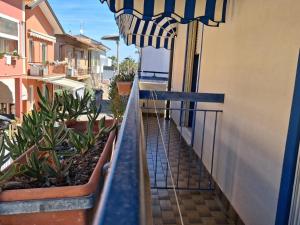 Albergo Conca dOro
