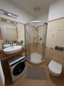 Central LOCATION Apartments Prague - Balbínova