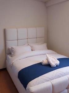 Oferta noclegów 17463240