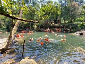 YesHue Eco Waterfall Glamping