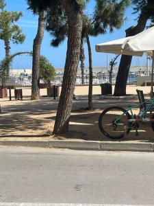 Bravaholidays-205-Puerto 2, Harborfront