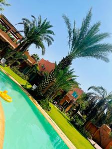 Happy19marrakech