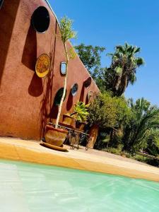 Happy19marrakech