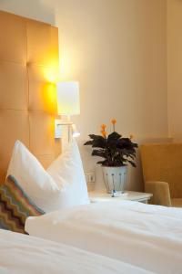 Hotel Mehl