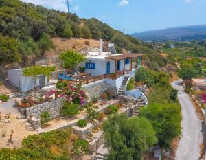 The Rock & The Lemon Tree