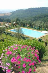 bcceddcbaacaccba - Apartment Girasole Capponi