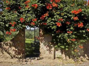 bcceddcbaacaccba - Apartment Girasole Capponi