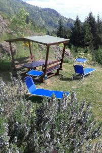 deaffdbdedaeed - Apartment Wohnung in Borzonasca mit Garten und Grill