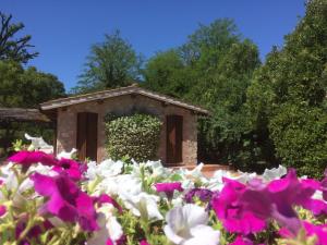 fbefaaecfbf - Holiday Home Villa mit privatem Pool 70 Kilometer von Rom ent