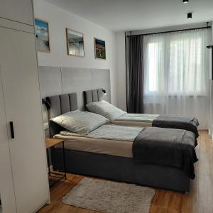 Apartament SUDECKIE GÓRY