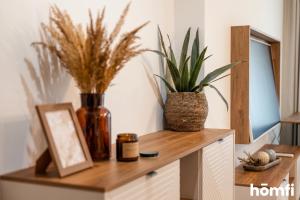 Urban Canvas - homfi Collection