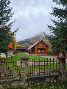 Cabana Gabriela-Tarcau